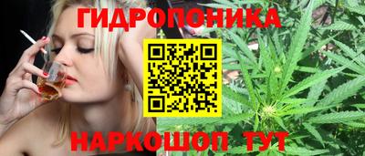 соль ск Можга