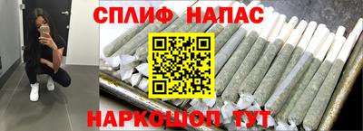 Альфа ПВП Моздок