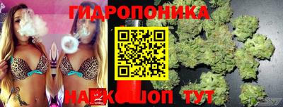 соль ск Можга