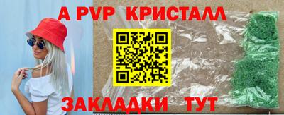 Альфа ПВП Моздок
