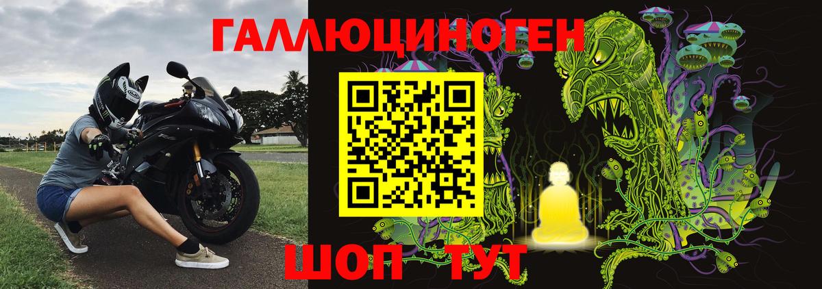 Галлюциногенные грибы Cubensis Владимир